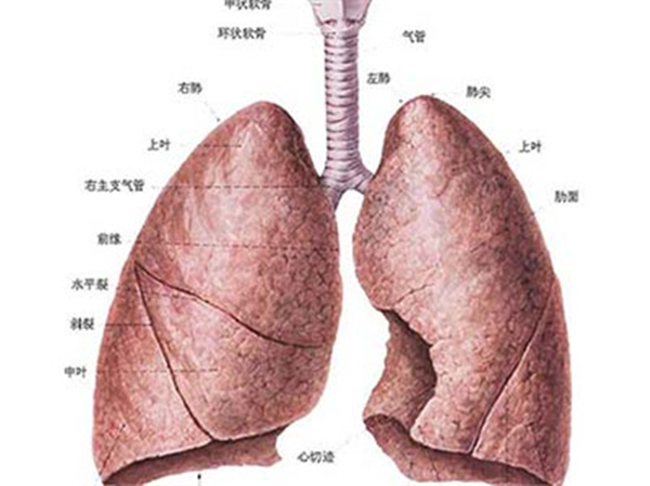 肺积水是什么病 分析肺积水原因教你怎么预防肺癌