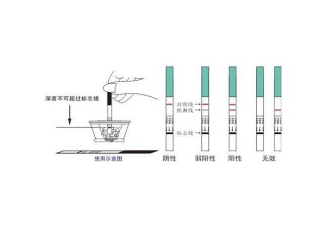 测孕纸怎么用 这个用法步骤答案会更准确