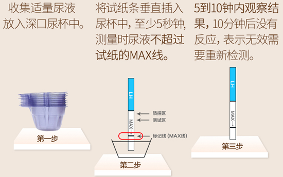 排卵试纸怎么用 排卵试纸上出的结果又要怎么看