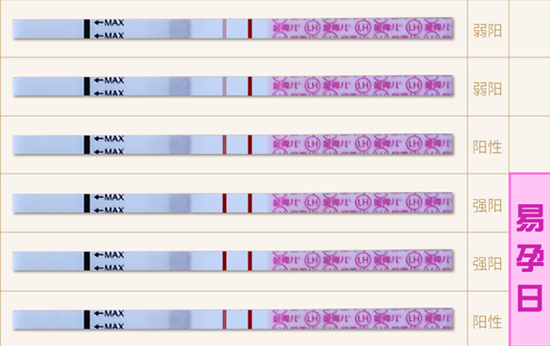 排卵试纸怎么用 排卵试纸上出的结果又要怎么看
