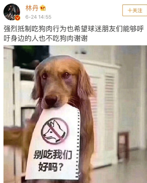 林丹号召抵制吃狗肉