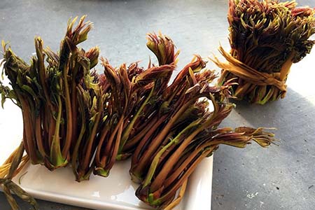 春季就爱吃鲜味，香椿芽蛋饼好吃又美味