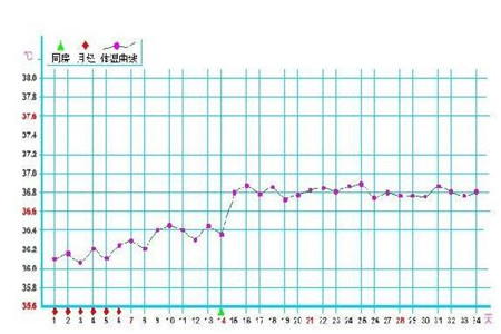 孕妇体温