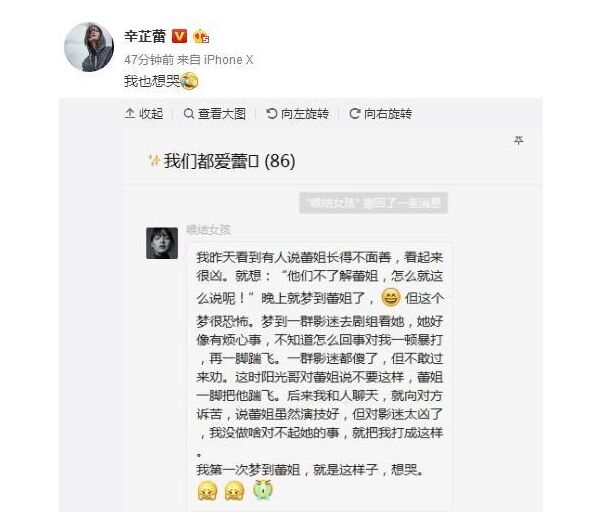 辛芷蕾发微博说了什么 疑似两个字回应和翟天临恋情？