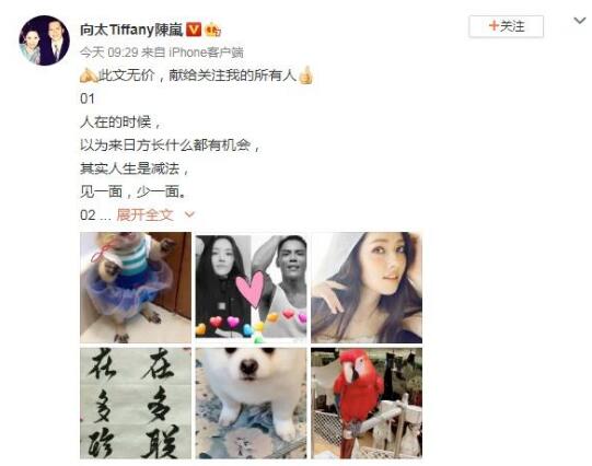 向太为向佐郭碧婷合照加爱心 郭碧婷向佐恋情已获向太力挺官宣