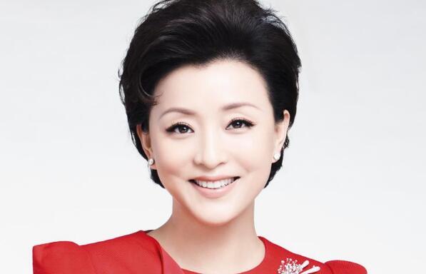 杨澜前夫名字照片离婚原因曝光 杨澜吴征儿子女儿名字太好了