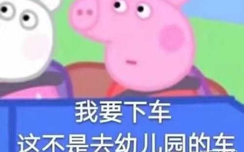 开车什么意思