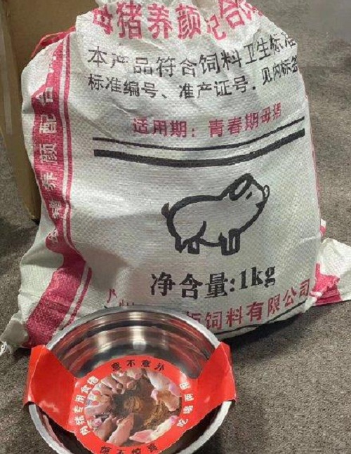 宁静给节目组送猪饲料