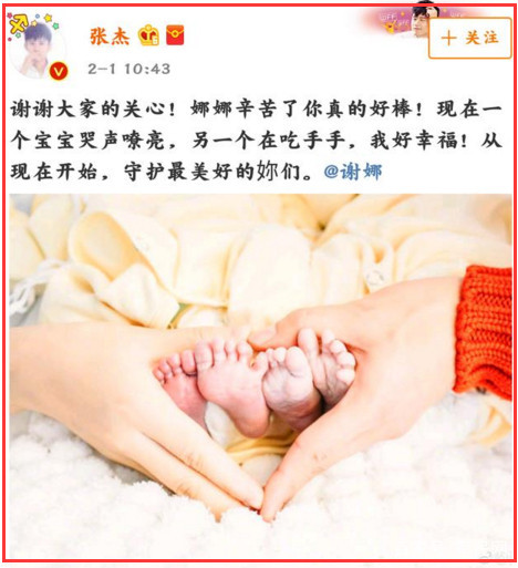 谢娜为张杰生下双胞胎 如今暂时退出快乐家族一心照顾孩子