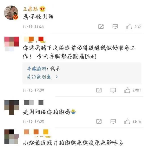 王思聪回应评论半藏森林