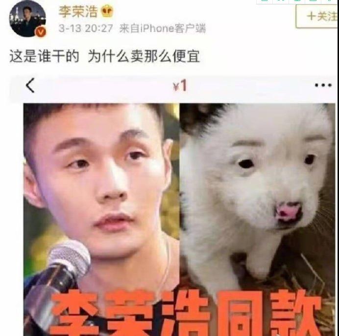 杨丞琳晒李荣浩与柴犬对比图